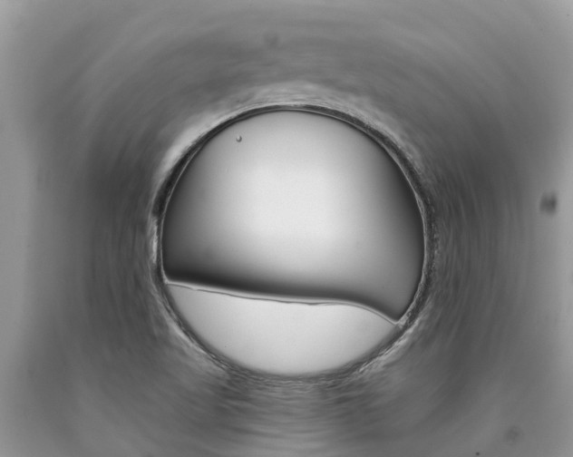 X0000090711509200707200940