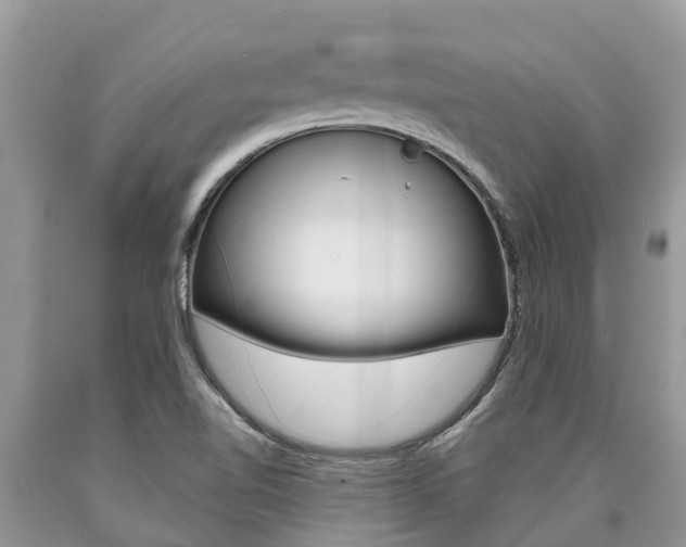 X0000090711510200707200940