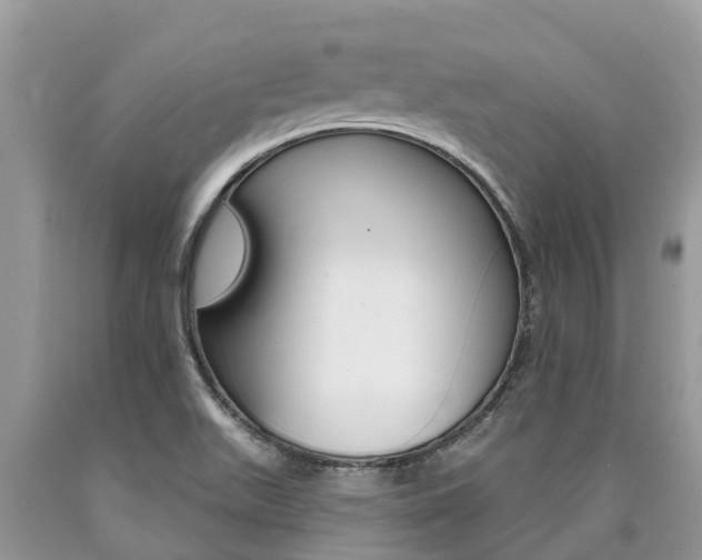 X0000090711511200707200940