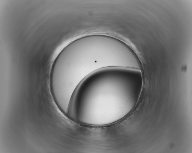 X0000090711512200707200940