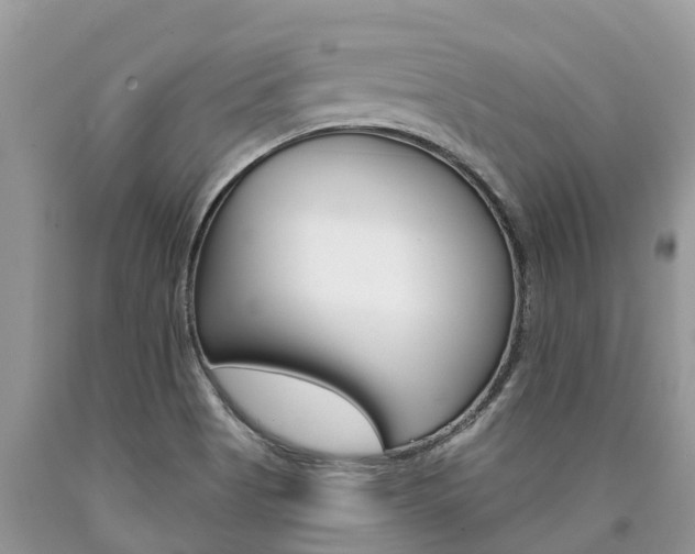X0000090711513200707200940