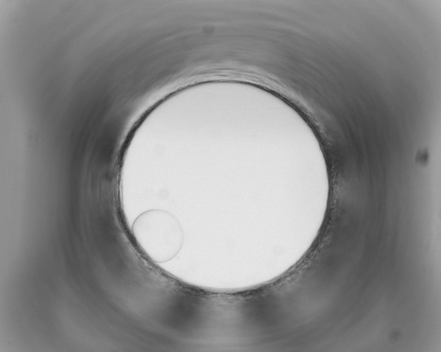 X0000090711514200707200940
