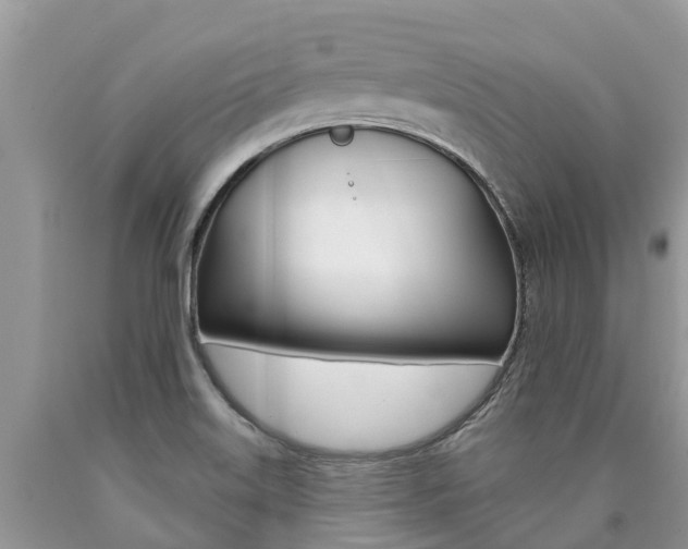 X0000090711515200707200940