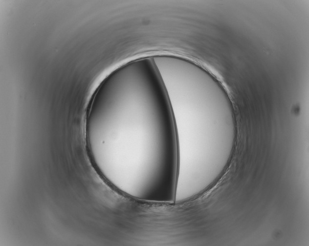 X0000090711516200707200940