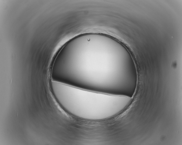 X0000090711517200707200940