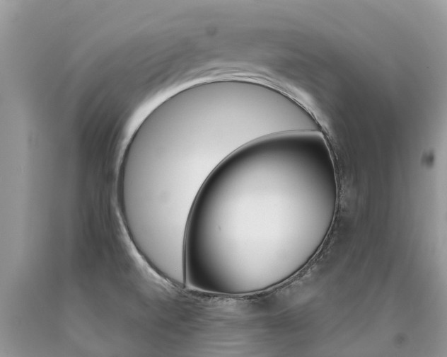 X0000090711520200707200940