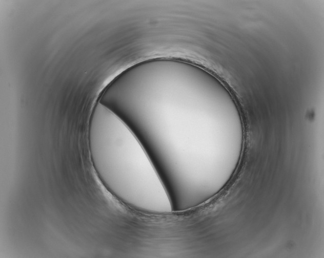 X0000090711521200707200940