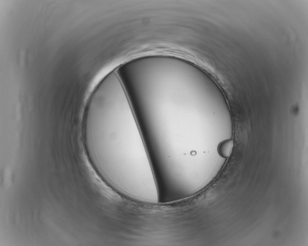 X0000090711522200707200940