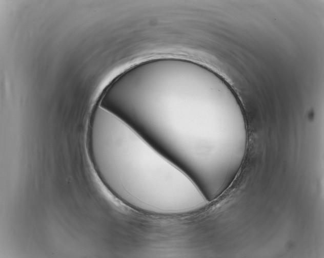 X0000090711523200707200940