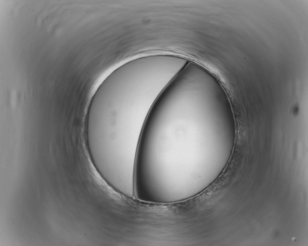 X0000090711524200707200940
