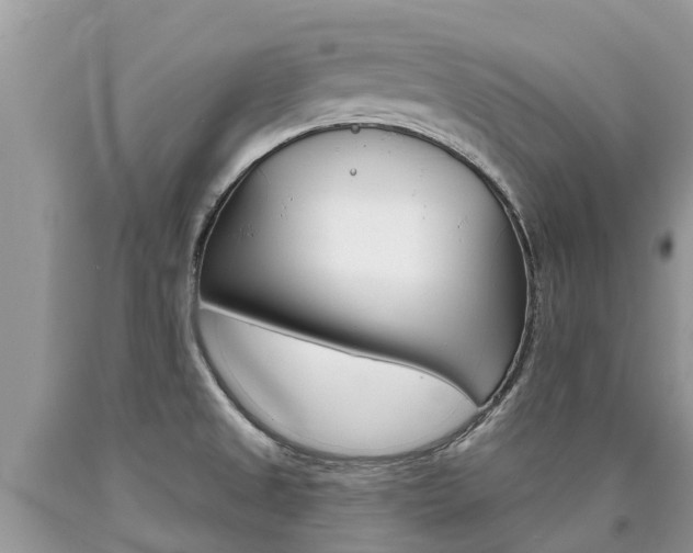 X0000090711525200707200940