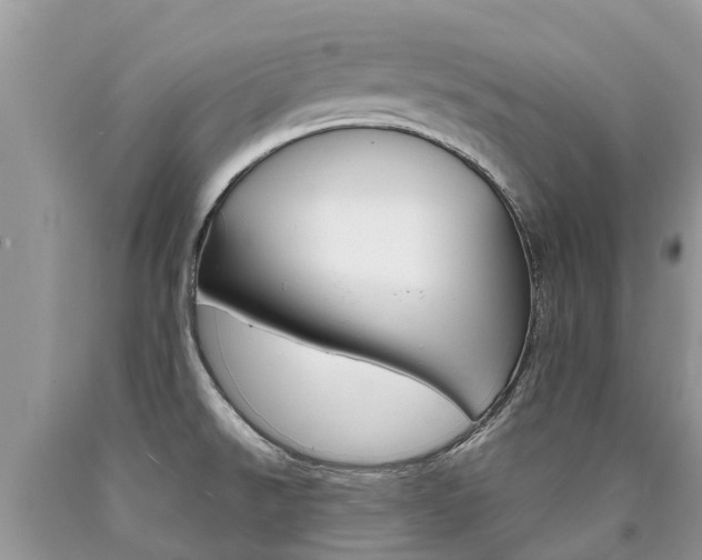 X0000090711526200707200940