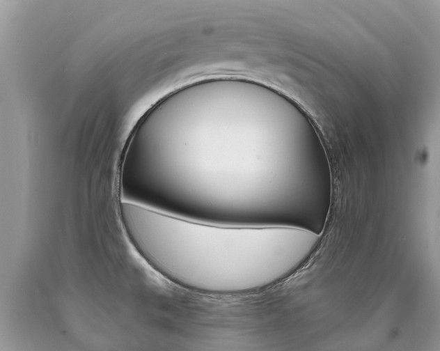 X0000090711527200707200940