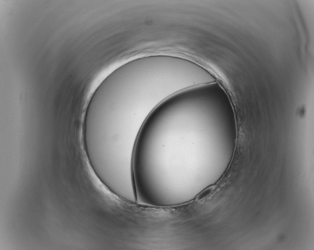 X0000090711528200707200940