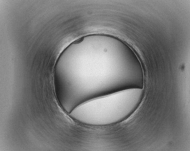 X0000090711529200707200940