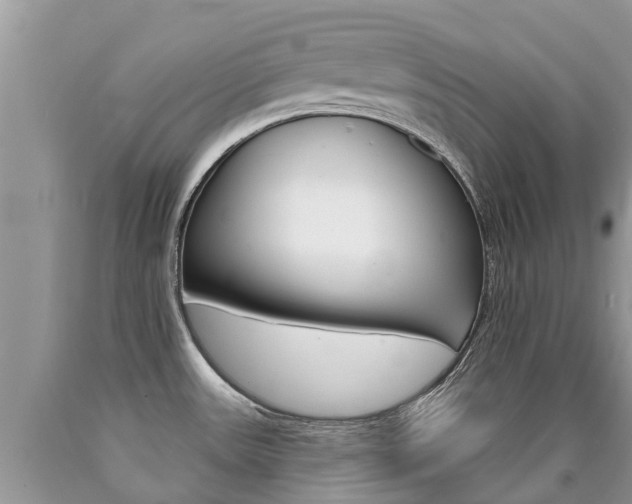 X0000090711531200707200940