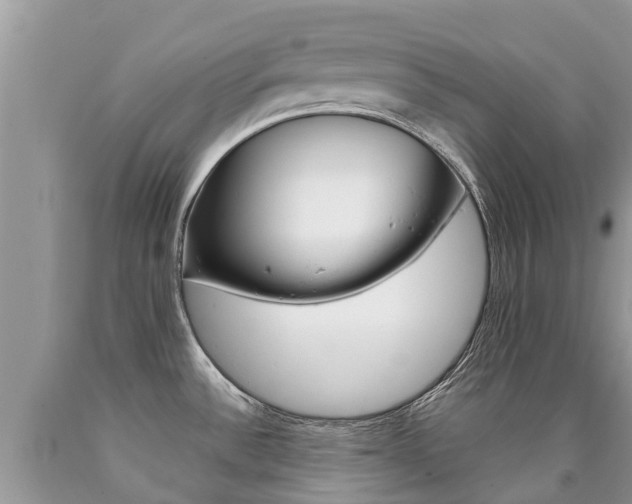 X0000090711532200707200940