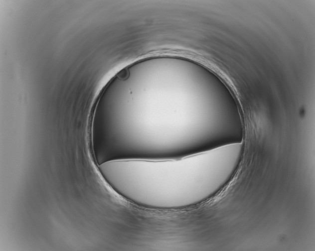 X0000090711533200707200940