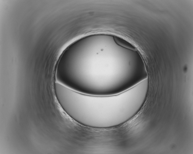 X0000090711534200707200940
