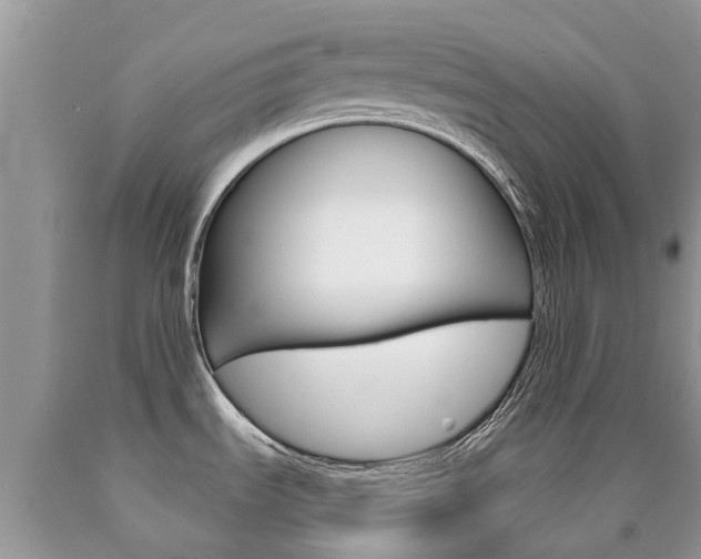 X0000090711535200707200940