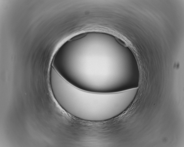 X0000090711536200707200940