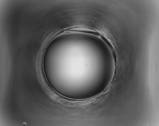 X0000090710001200707201224