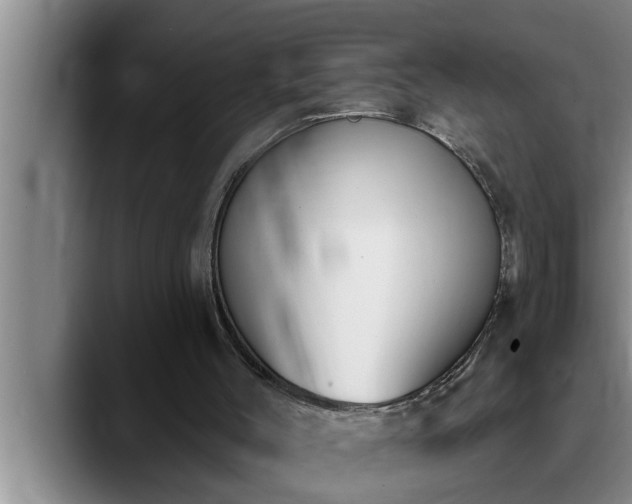 X0000090710004200707201224