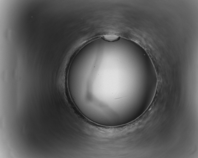 X0000090710006200707201224