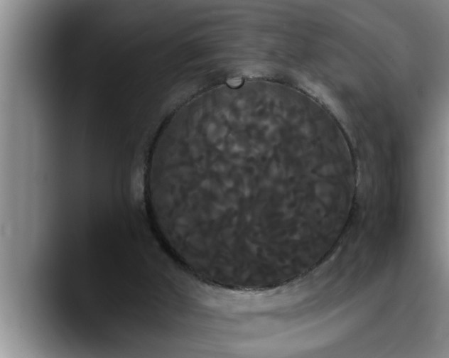 X0000090710010200707201224