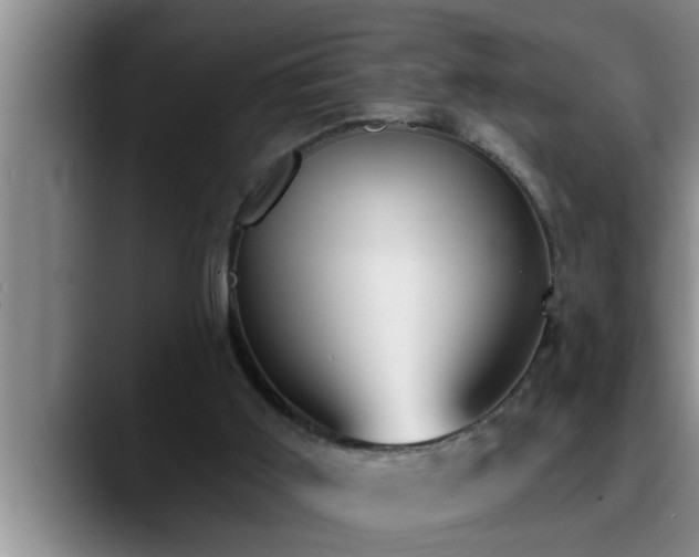 X0000090710011200707201223