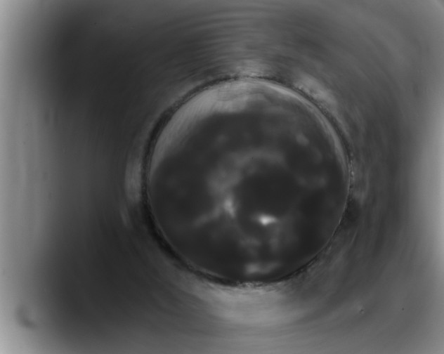 X0000090710012200707201223