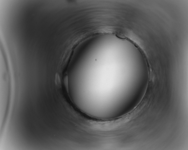 X0000090710013200707201223