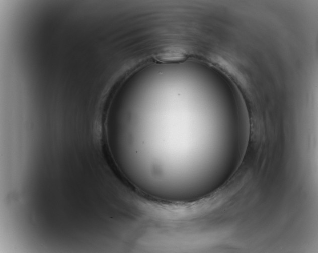 X0000090710015200707201223