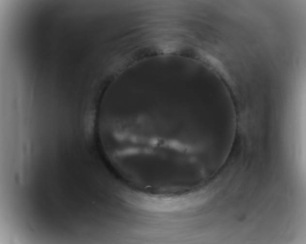 X0000090710018200707201223