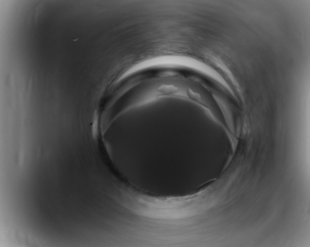 X0000090710019200707201223