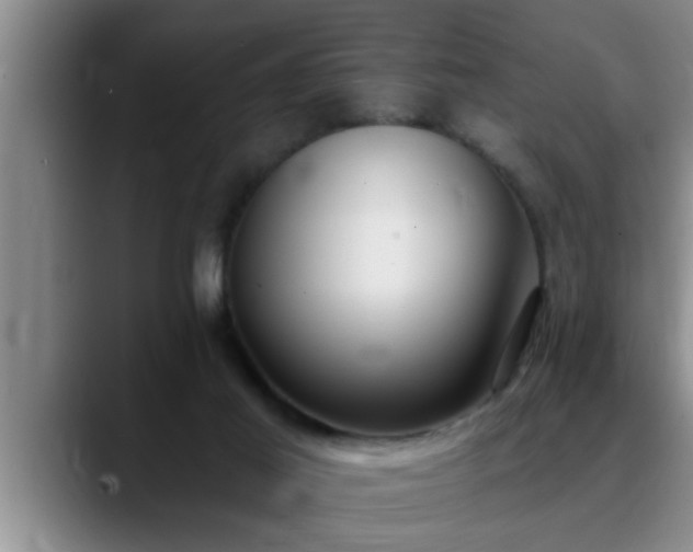 X0000090710021200707201223