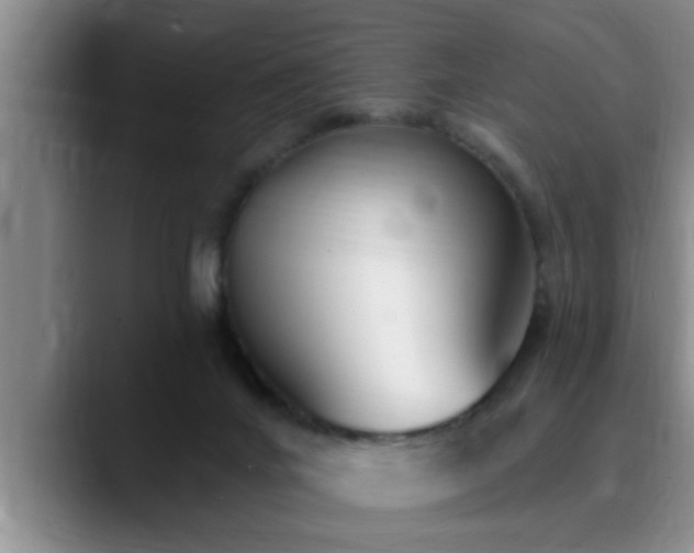 X0000090710024200707201223