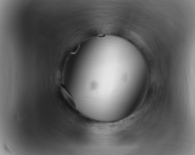 X0000090710025200707201223