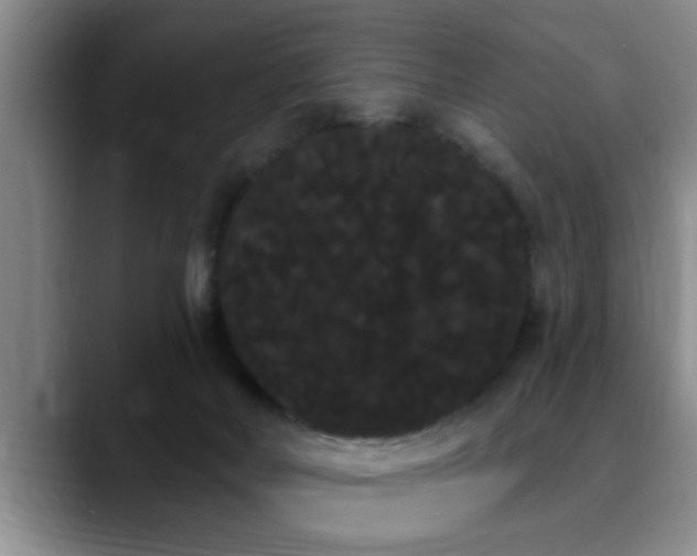 X0000090710026200707201223