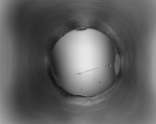 X0000090710029200707201223