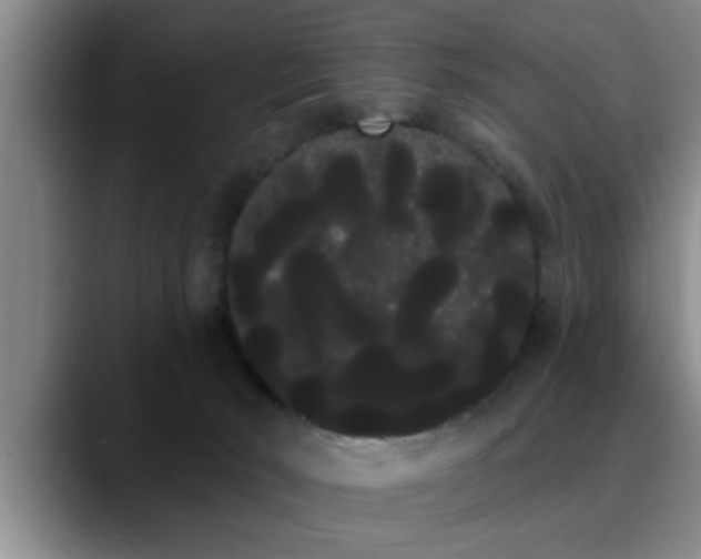 X0000090710030200707201223