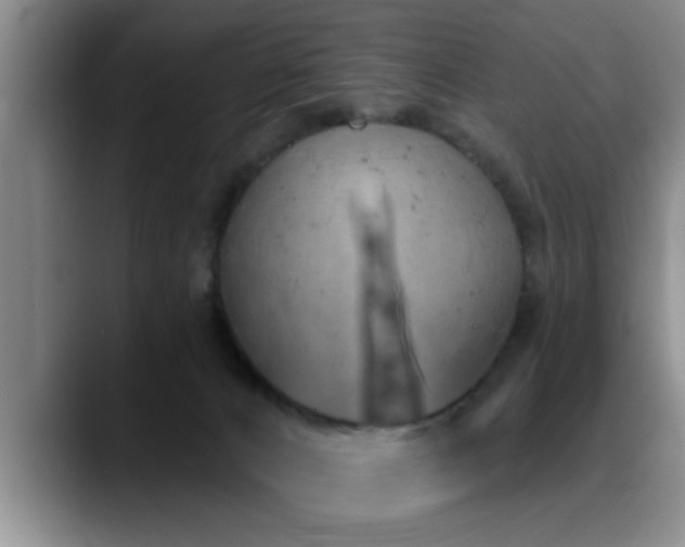 X0000090710032200707201223