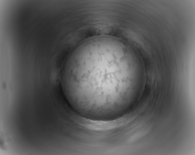 X0000090710034200707201223