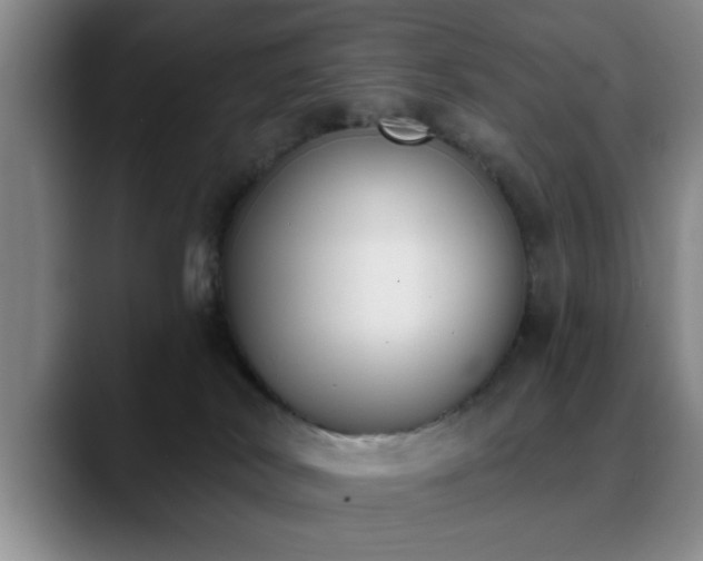 X0000090710038200707201223