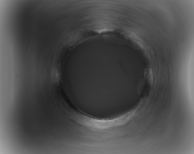 X0000090710039200707201223