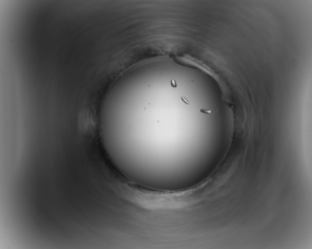 X0000090710040200707201223