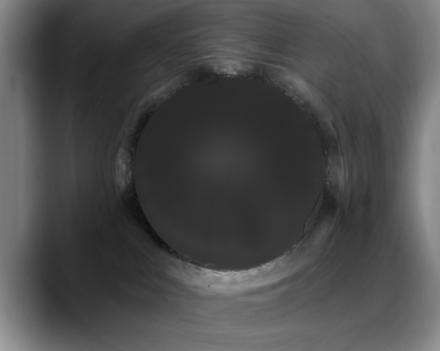 X0000090710043200707201223