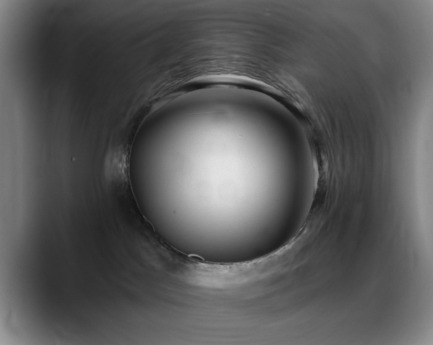 X0000090710045200707201223