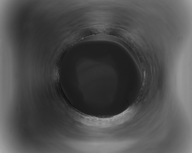 X0000090710048200707201223