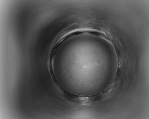 X0000090710052200707201223